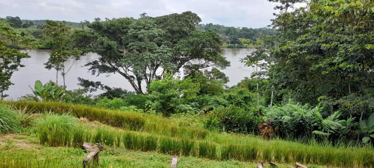 La Mariola - Finca Agroecologica El Castillo de La Concepción Exteriör bild
