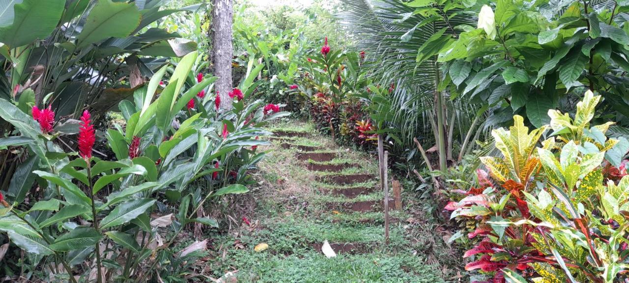 La Mariola - Finca Agroecologica El Castillo de La Concepción Exteriör bild