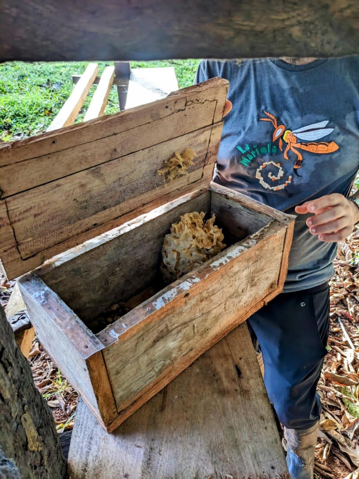 La Mariola - Finca Agroecologica El Castillo de La Concepción Exteriör bild