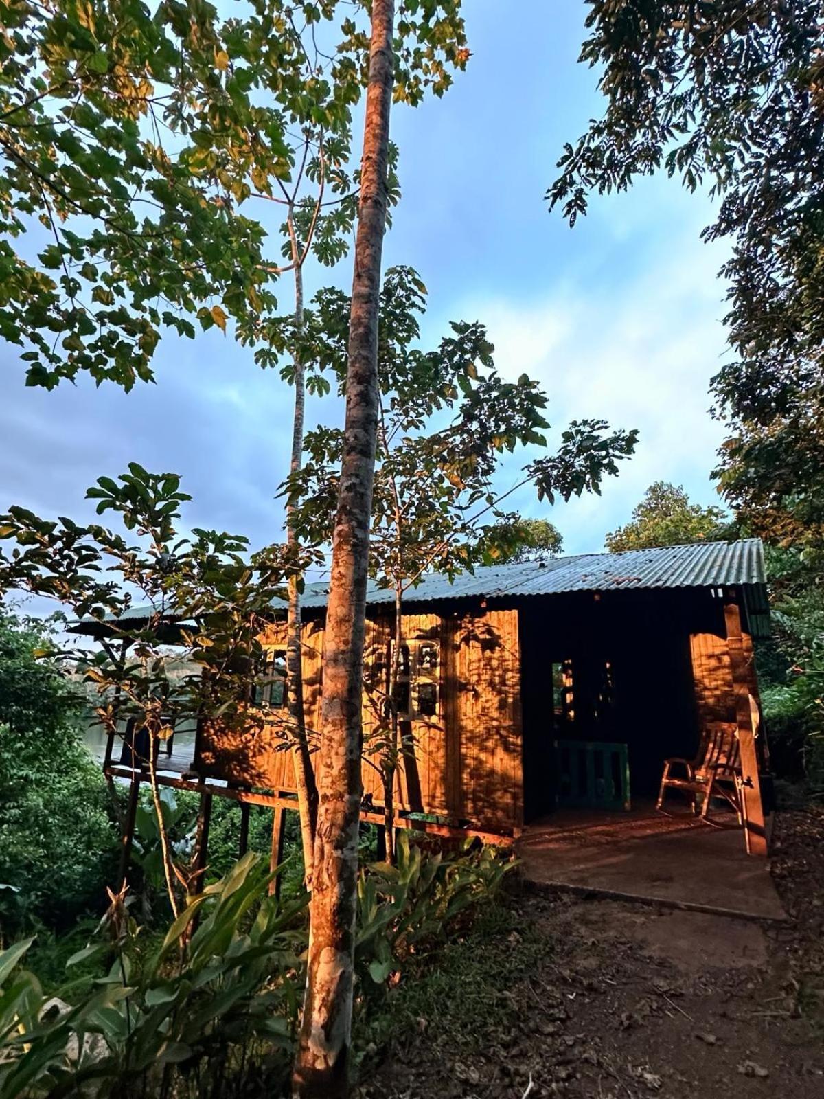La Mariola - Finca Agroecologica El Castillo de La Concepción Exteriör bild