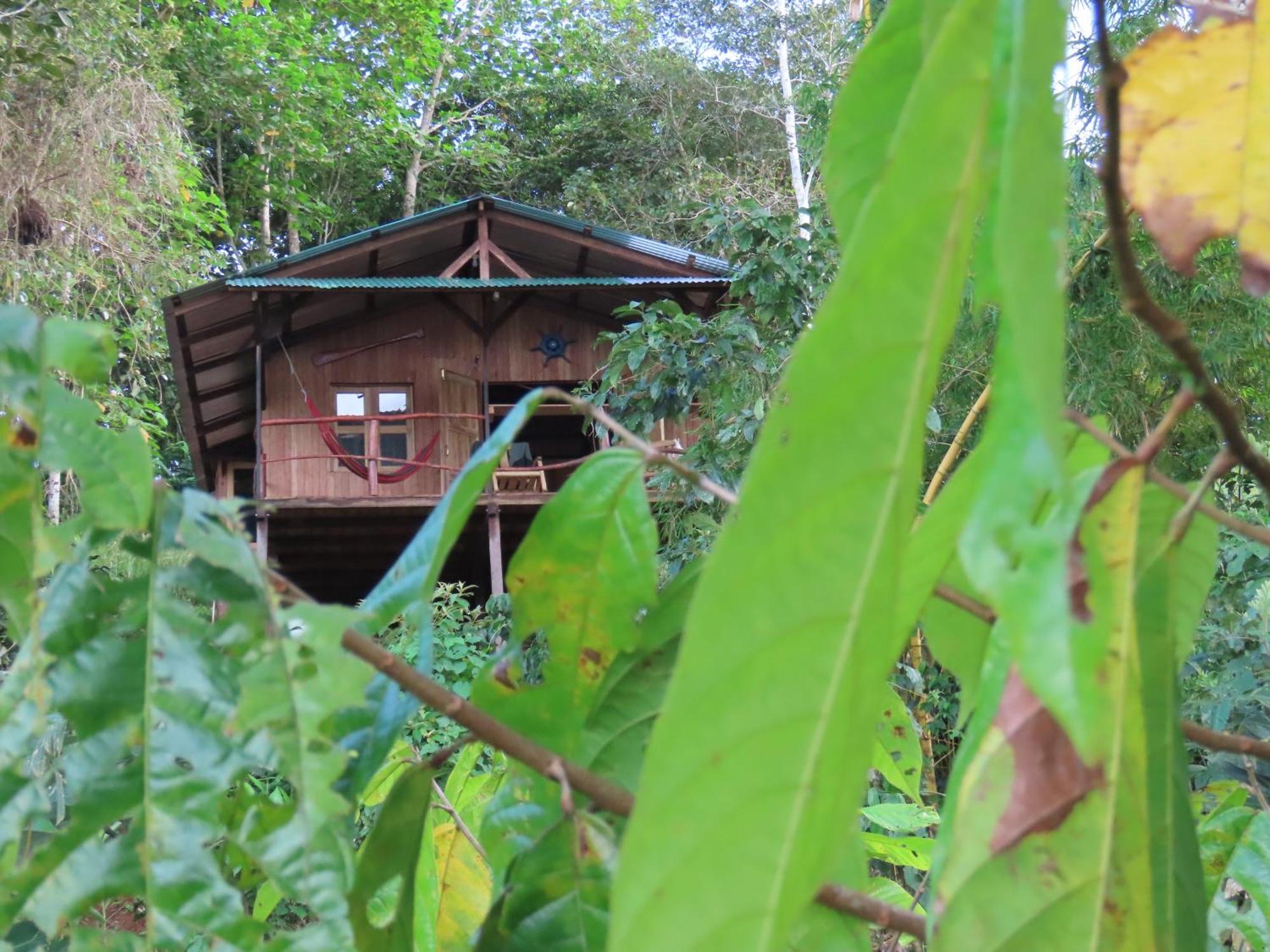 La Mariola - Finca Agroecologica El Castillo de La Concepción Exteriör bild